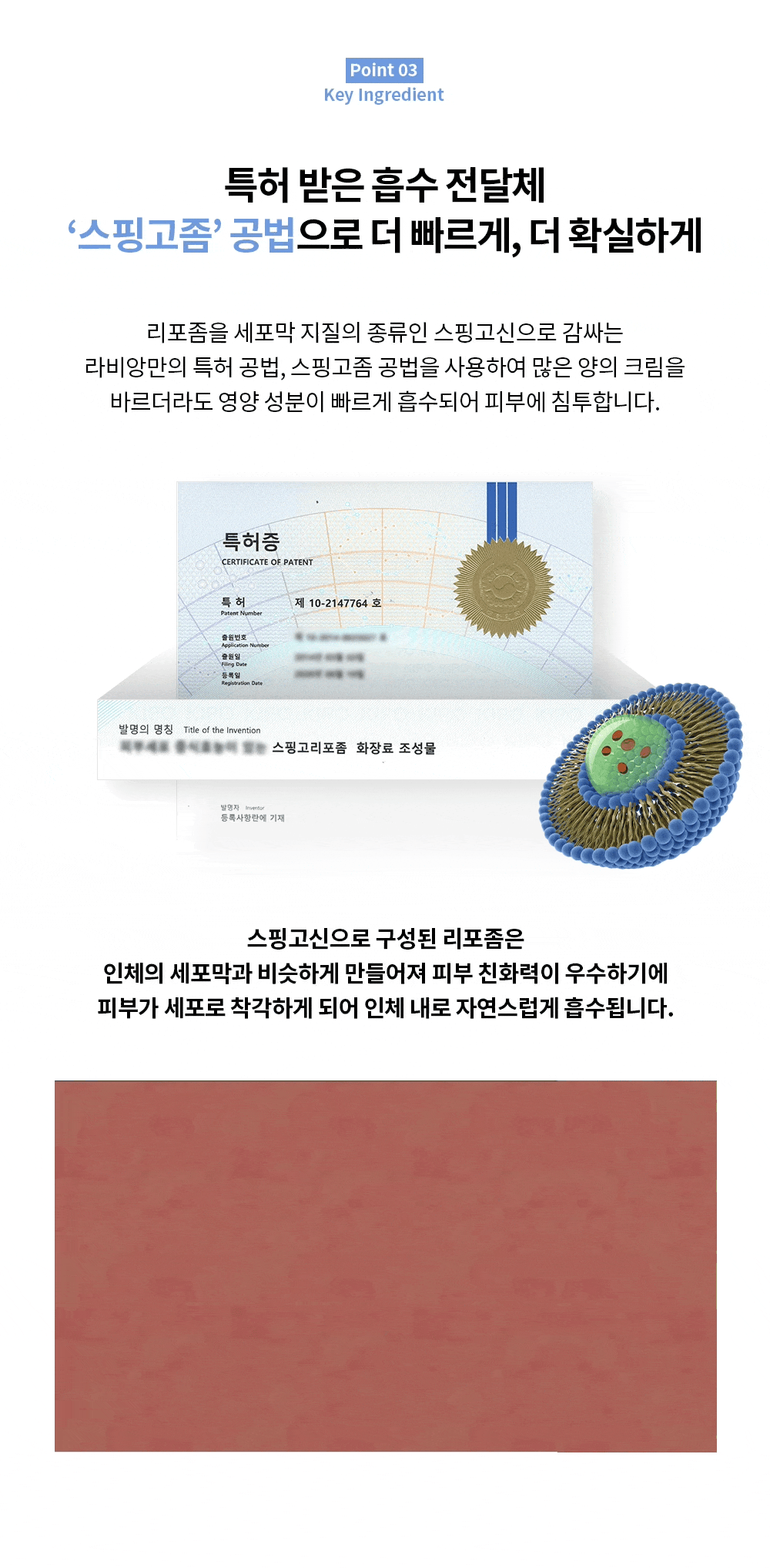 ラビアンメディニックラインミラクルステムスフィンゴソーム